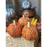 Calabaza Yute