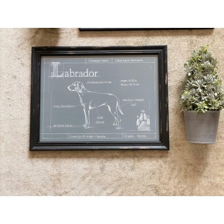 Cuadro dog print labrador