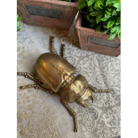 Escarabajo con cuernos chicos