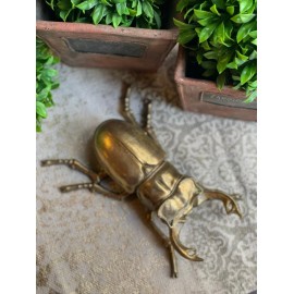 Escarabajo con cuernos largos