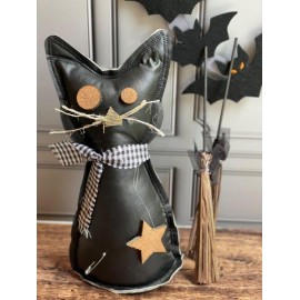 Gato en vinipiel negro