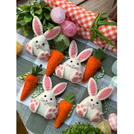 Guía conejos gorditos zanahorias