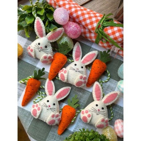 Guía conejos gorditos zanahorias