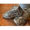 Horma de Zapato Chica Beige