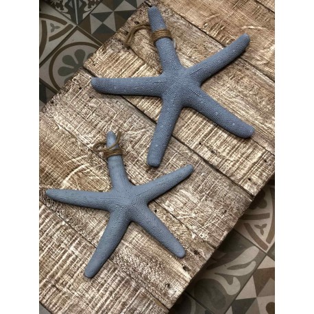 Juego de 2 Estrellas de Mar