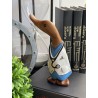 Pato doctor