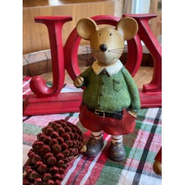 Ratón con shorts