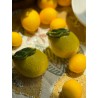 Set Salero y Pimentero Limones